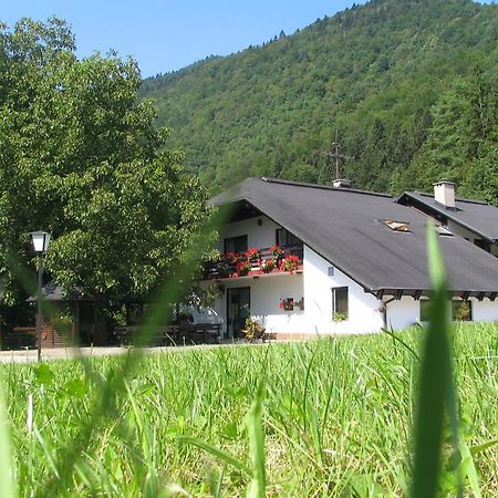 Guest House Atelšek Recica ob Savinji Extérieur photo